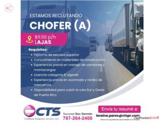 Chofer categoria 8