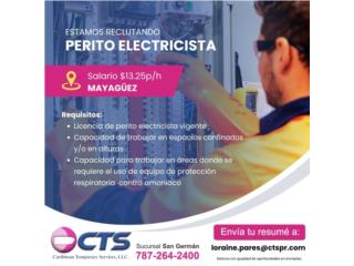 PERITO ELECTRICISTA 