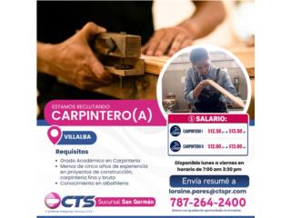 Carpintero 2- Villalba 