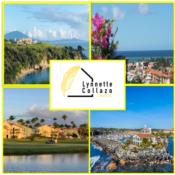 Lynnette Collazo Realty Puerto Rico