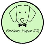 Caribbean Puppies PR Puerto Rico