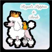 Royal's Puppies & Birds Puerto Rico