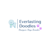 Everlasting Doodles Puerto Rico