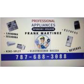 Professional Services, Category en MajorCategory cubirendo Carolina