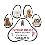 Perritos P.R zc Puerto Rico