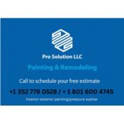 Pro Solutions LLC Puerto Rico