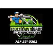 Ledey Lawn Care and Handyman, Category en MajorCategory cubirendo Santa Isabel