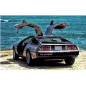 DeLorean Fine Arts Gallery Puerto Rico