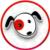 Clasificados Online Toyota en VZ Auto Sales