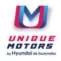 Unique Motors 