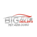BIG AUTO DEALERS