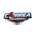 CORREA AUTO PIEZAS JUNKER