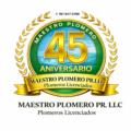  MAESTRO PLOMERO, PLOMER�A, DESTAPES
