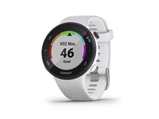 Garmin Forerunner 45S