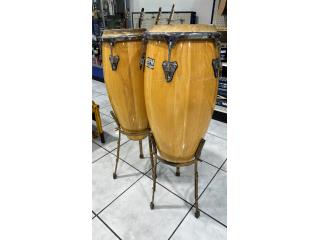 CONGAS DPM