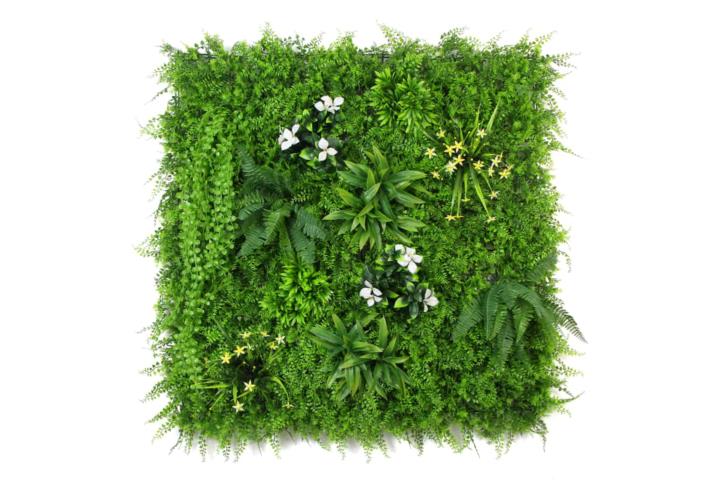 Wall plant with ferns white flowers