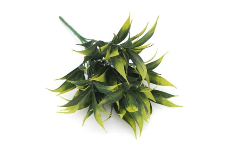 D088 Green leaves with Yellow