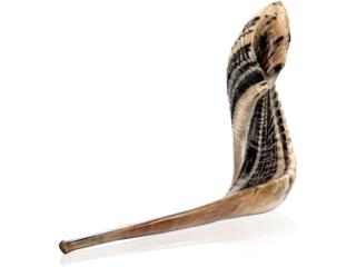 Shofar cuerno, Puerto Rico