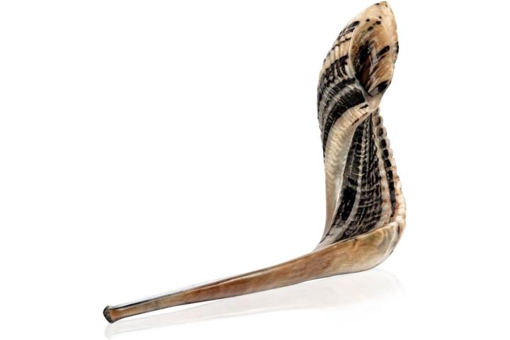 Shofar cuerno