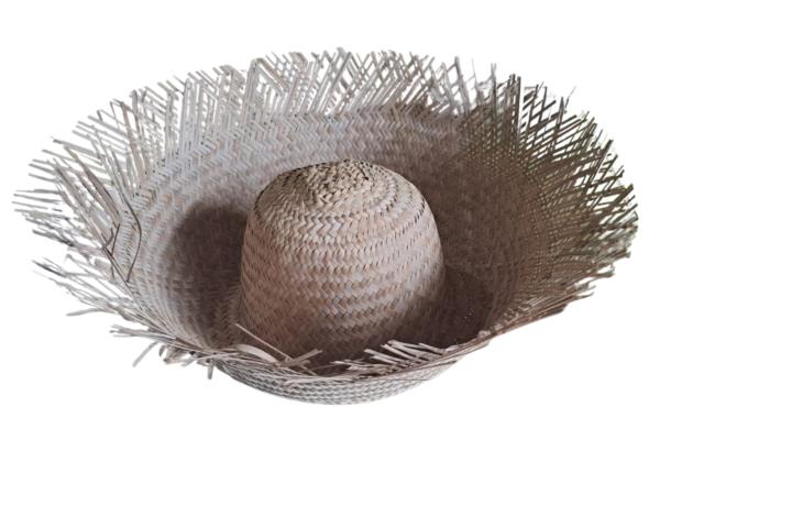 PAVA JIBARO PUERTO RICO