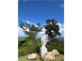 Figuras en Cemento, Ornamentaci�n Quintana Puerto Rico