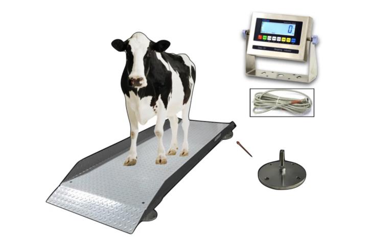 BALANZAS PARA ANIMALES 2,000/5,000 lbs