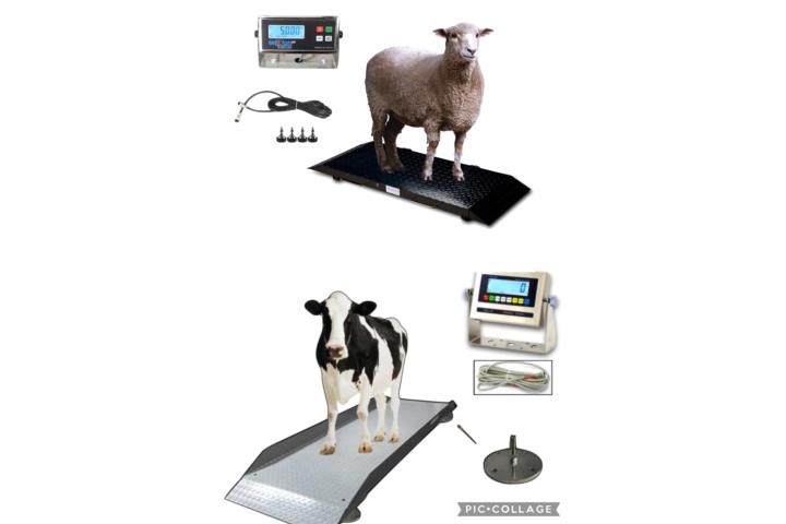 BALANZAS PARA ANIMALES 2,000/5,000 LBS