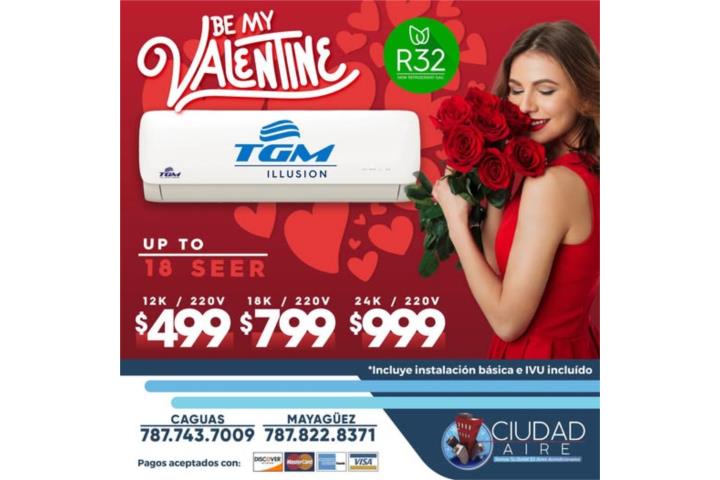 TGM 12,000 BTU 17 SEER INSTALADA SOLLO $499