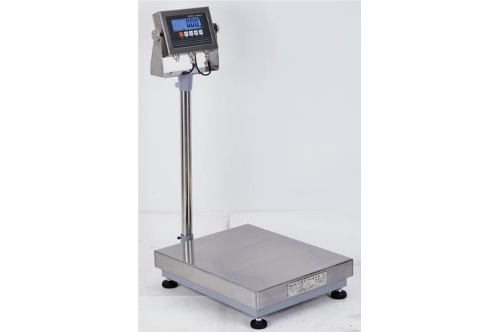 BALANZAS DE PLATAFORMAS