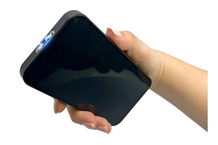 Stun Gun en forma de teléfono, Puerto Rico