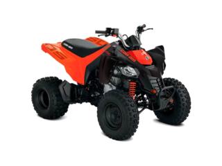 2022 CAN-AM DS 250, GENERATORS & MORE INC. Puerto Rico