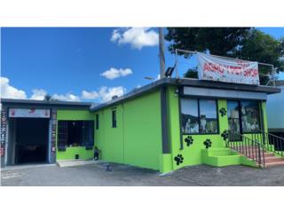 HENO (PANGOLA), OUTLET PET CENTER & CENTRO AGRICOLA