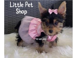 YORKIE TINY NENA CON PAPELES , LITTLE PET SHOP