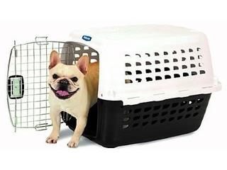 Kenell para perros, Isabela Pet Shop