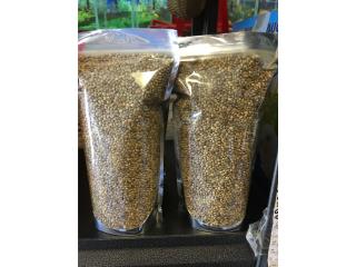 Semilla de cañamo para aves, Isabela Pet Shop