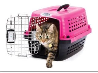 Kennels de trasporte, Isabela Pet Shop