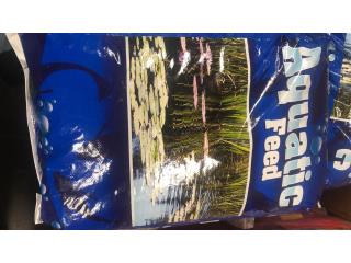 CATFISH ALIMENTO PARA KOI!!!, OUTLET PET CENTER & CENTRO AGRICOLA