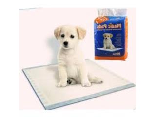 MAGIC PADS, OUTLET PET CENTER & CENTRO AGRICOLA
