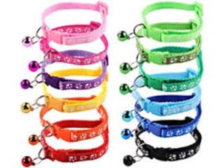 COLLARES PARA PERROS PEQUEÑOS, OUTLET PET CENTER & CENTRO AGRICOLA