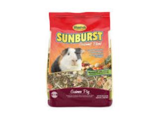 SUNBURST GIUNEA PIG, OUTLET PET CENTER & CENTRO AGRICOLA