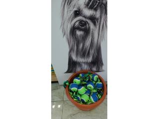 JUGUETE PARA PERROS, OUTLET PET CENTER & CENTRO AGRICOLA