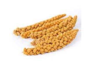 SPRAY MILLET DETALLADO, OUTLET PET CENTER & CENTRO AGRICOLA