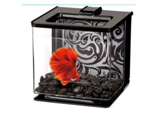VARIEDAD DE PECERAS PARA BETTA, OUTLET PET CENTER & CENTRO AGRICOLA
