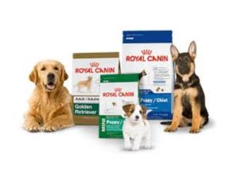 ROYAL CANIN ((VARIEDAD)), OUTLET PET CENTER & CENTRO AGRICOLA
