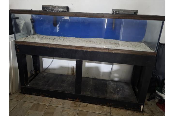 Pecera de 100 galones con todo