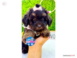POODLE TOY PHANTOM NENA CON PAPELES , LITTLE PET SHOP