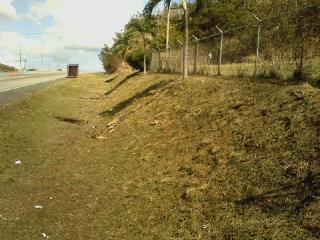Limpieza de terrenos / solares Clasificados Online  Puerto Rico