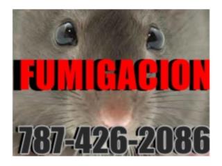 Fumigacion Certificacion/Inspeccion Prest. FHA VA Clasificados Online  Puerto Rico