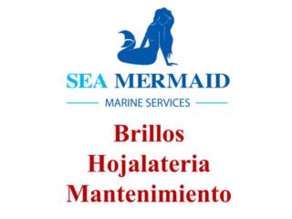Servicios de primera a un precio razonable... Puerto Rico Sea Mermaid Marine Services One, Inc.