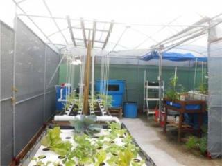 Taller Acuaponía Agroecológica Doméstica,PR